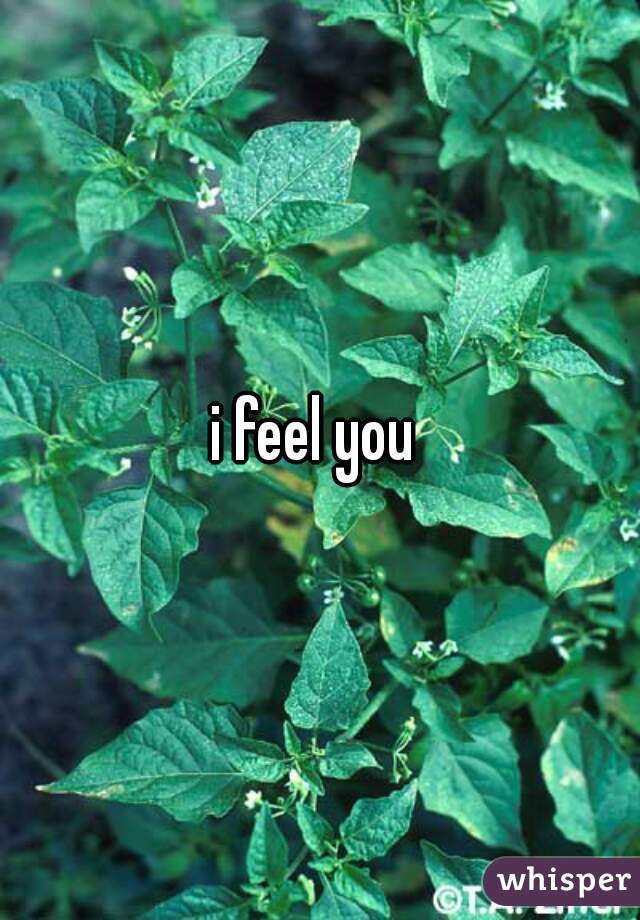 i feel you 