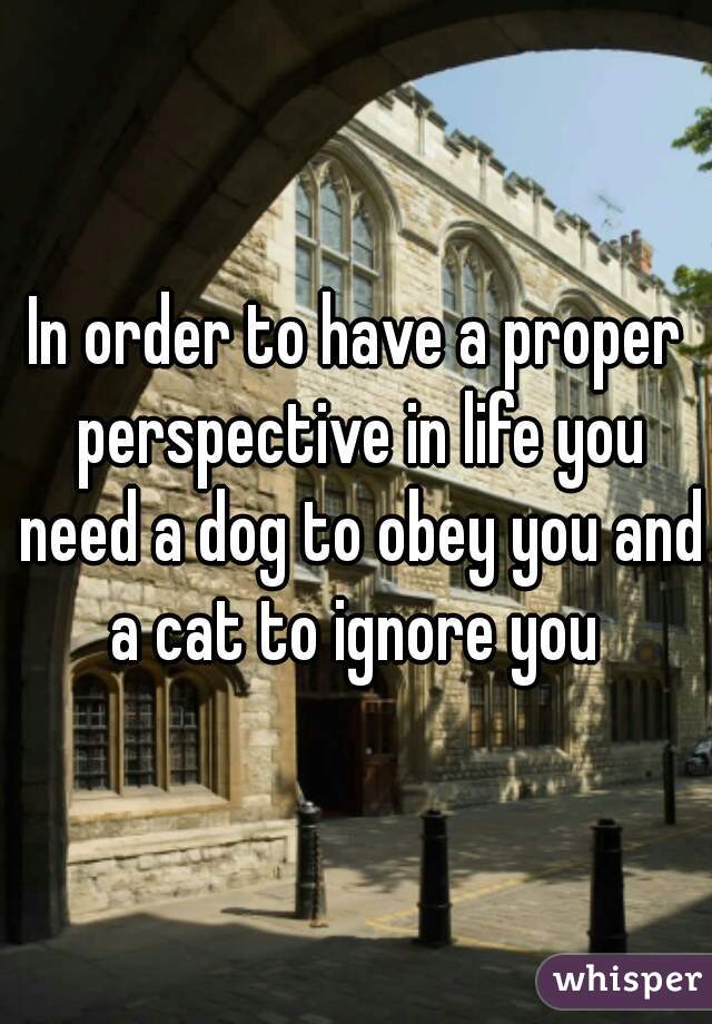 In order to have a proper perspective in life you need a dog to obey you and a cat to ignore you 