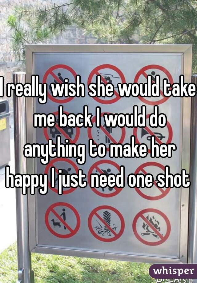 I really wish she would take me back I would do anything to make her happy I just need one shot 