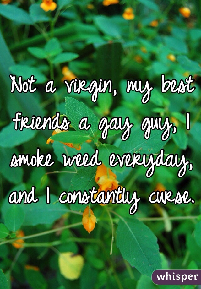 Not a virgin, my best friends a gay guy, I smoke weed everyday, and I constantly curse.