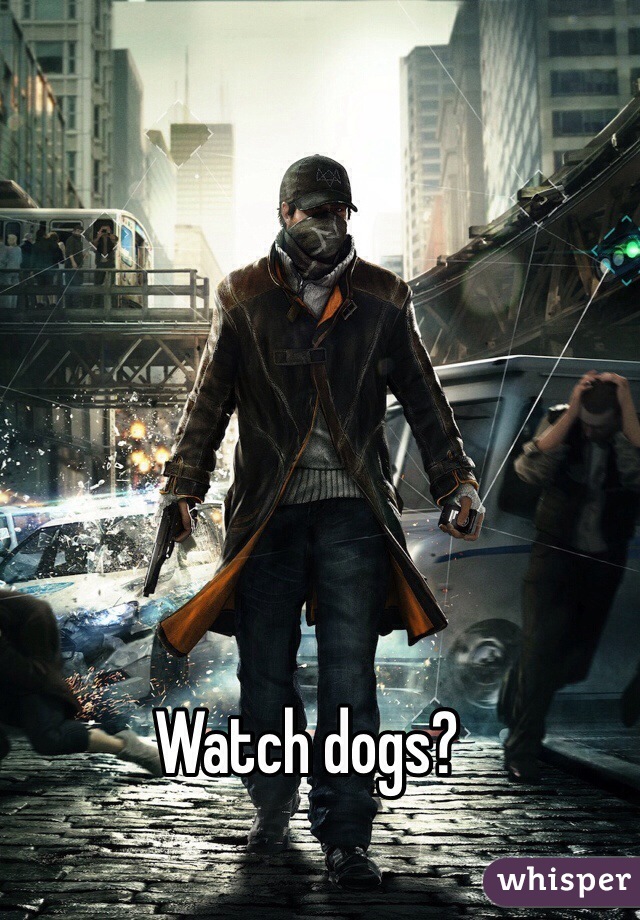 Watch dogs?