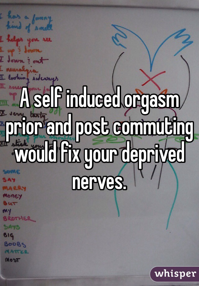 A self induced orgasm prior and post commuting would fix your deprived nerves.