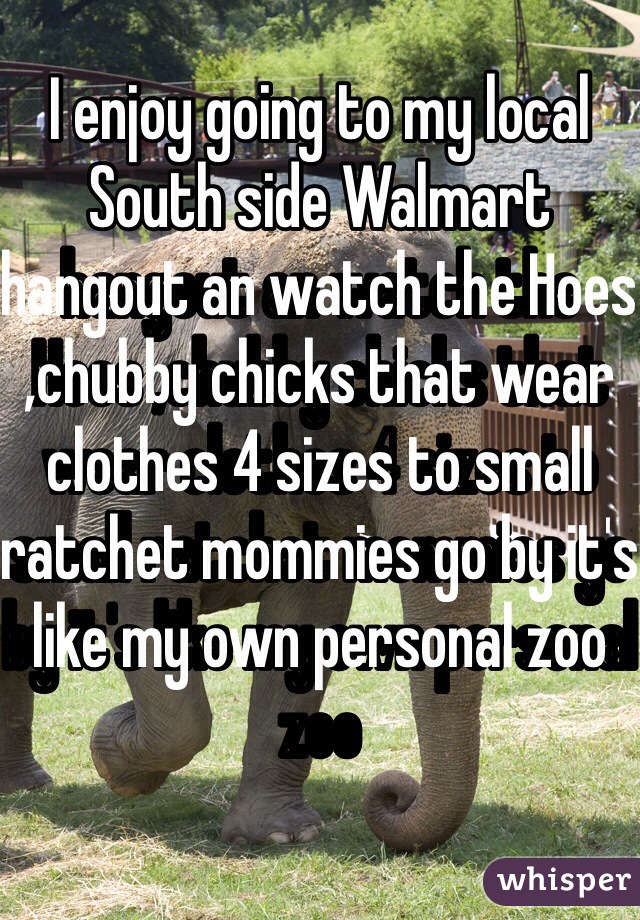 I enjoy going to my local South side Walmart hangout an watch the Hoes ,chubby chicks that wear clothes 4 sizes to small ratchet mommies go by it's like my own personal zoo  