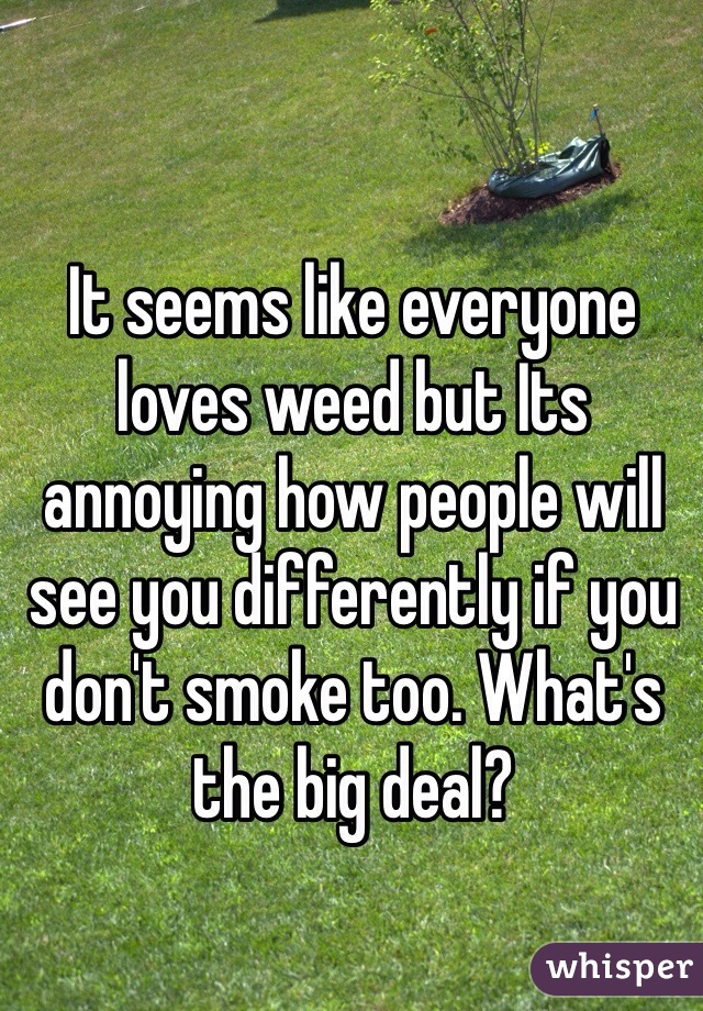It seems like everyone loves weed but Its annoying how people will see you differently if you don't smoke too. What's the big deal? 