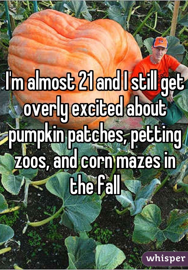 I'm almost 21 and I still get overly excited about pumpkin patches, petting zoos, and corn mazes in the fall