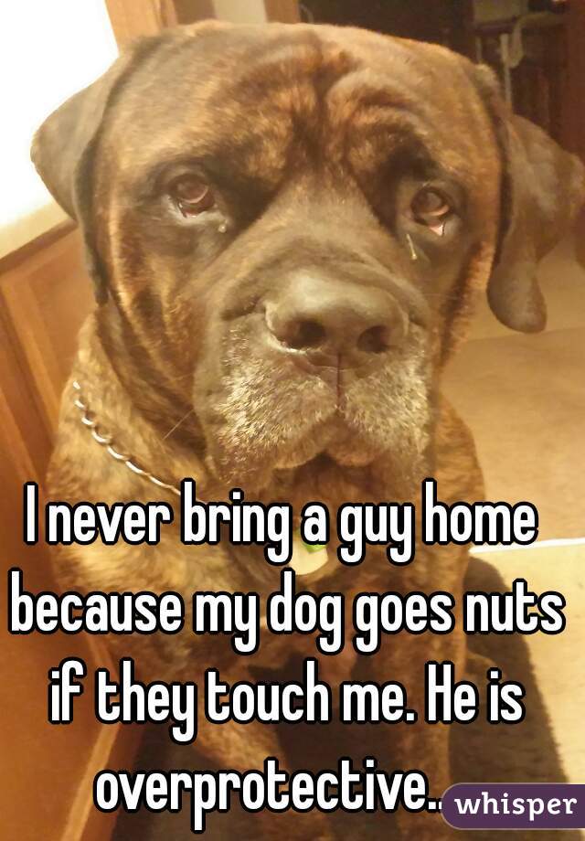I never bring a guy home because my dog goes nuts if they touch me. He is overprotective.... 