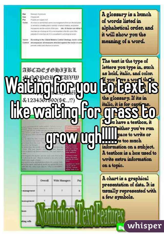 Waiting for you to text is like waiting for grass to grow ugh!!!!! 