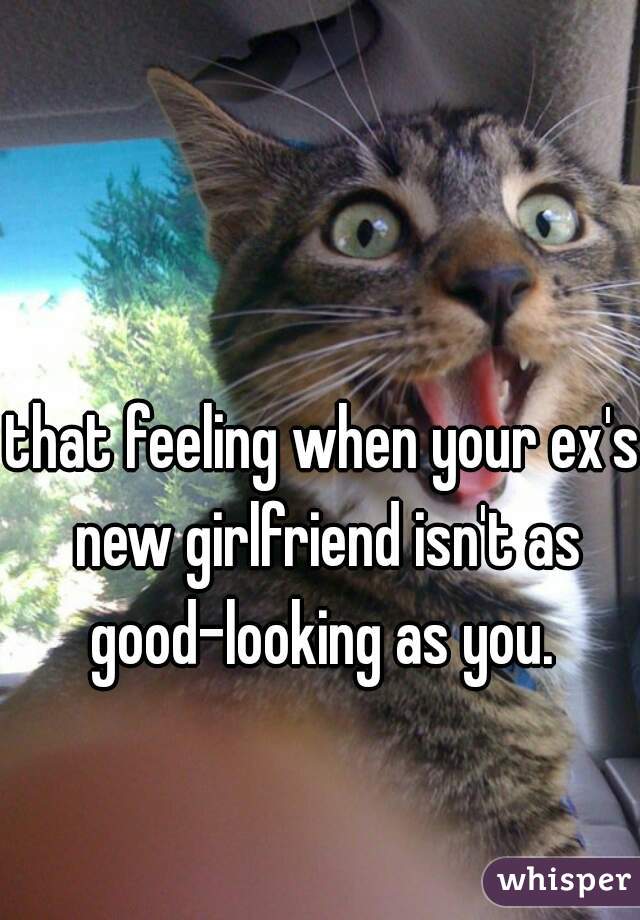 that feeling when your ex's new girlfriend isn't as good-looking as you. 