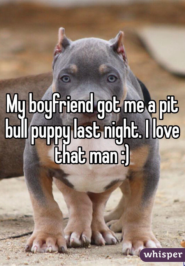 My boyfriend got me a pit bull puppy last night. I love that man :)