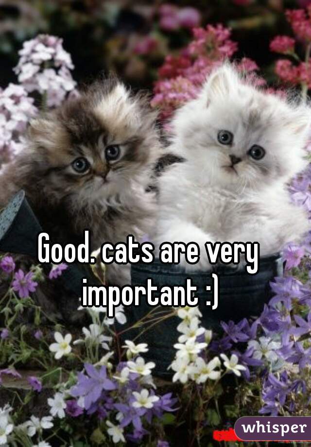 Good. cats are very important :)