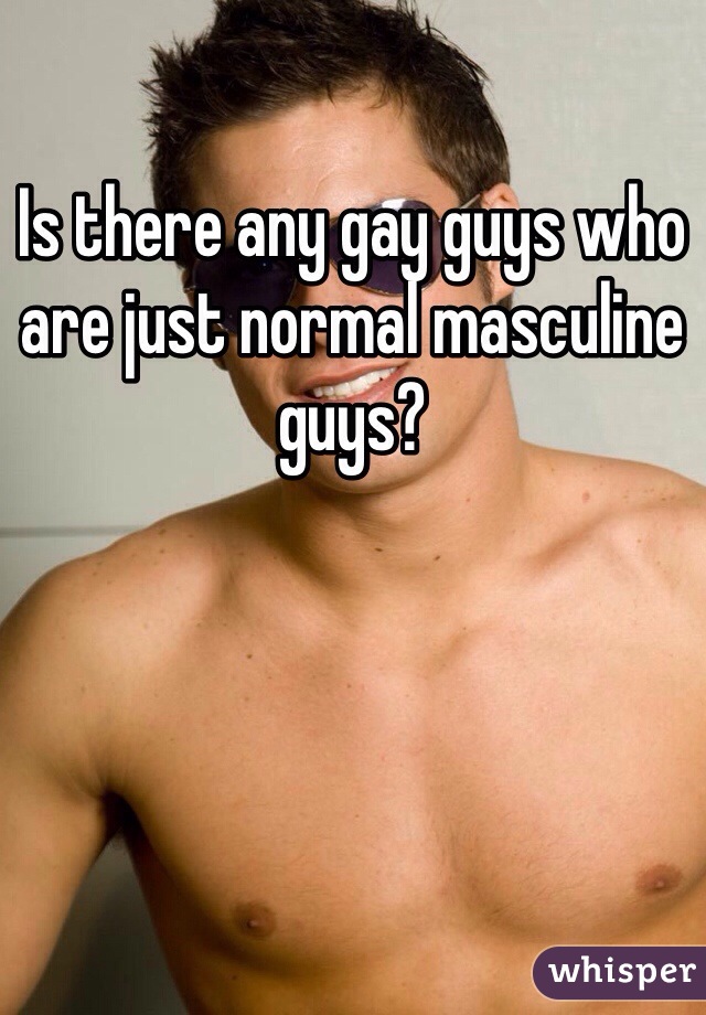 Is there any gay guys who are just normal masculine guys?