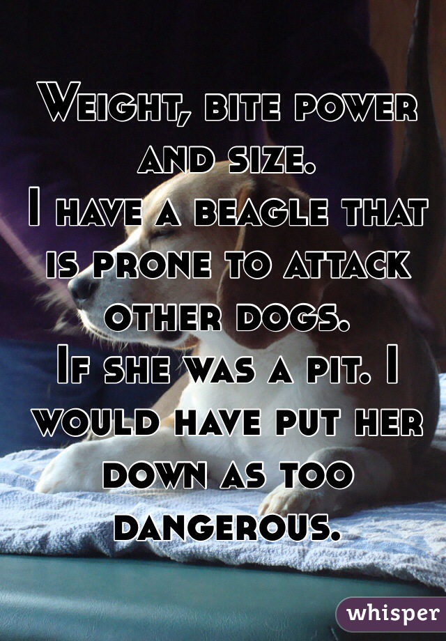 Weight, bite power and size. 
I have a beagle that is prone to attack other dogs.  
If she was a pit. I would have put her down as too dangerous. 