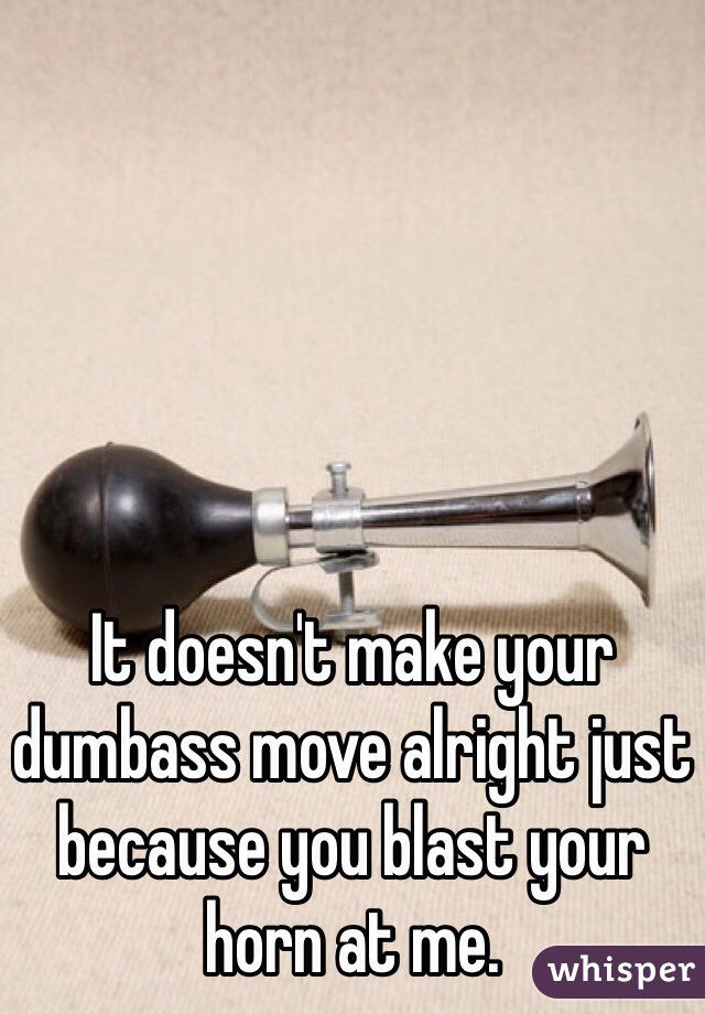 It doesn't make your dumbass move alright just because you blast your horn at me.  