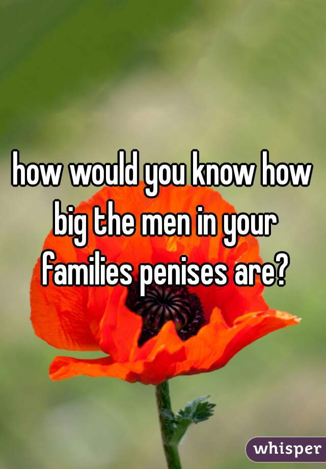 how would you know how big the men in your families penises are?