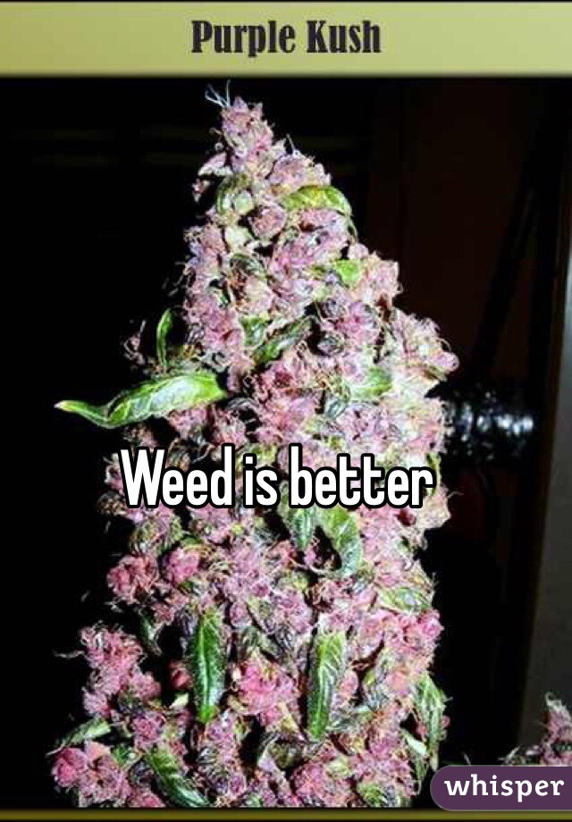 Weed is better