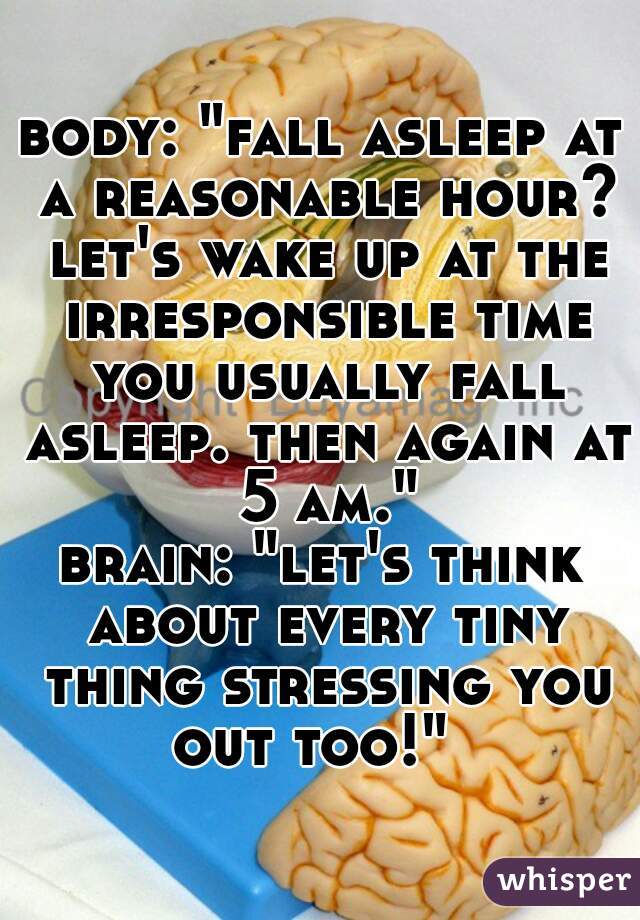 body: "fall asleep at a reasonable hour? let's wake up at the irresponsible time you usually fall asleep. then again at 5 am."

brain: "let's think about every tiny thing stressing you out too!"  
