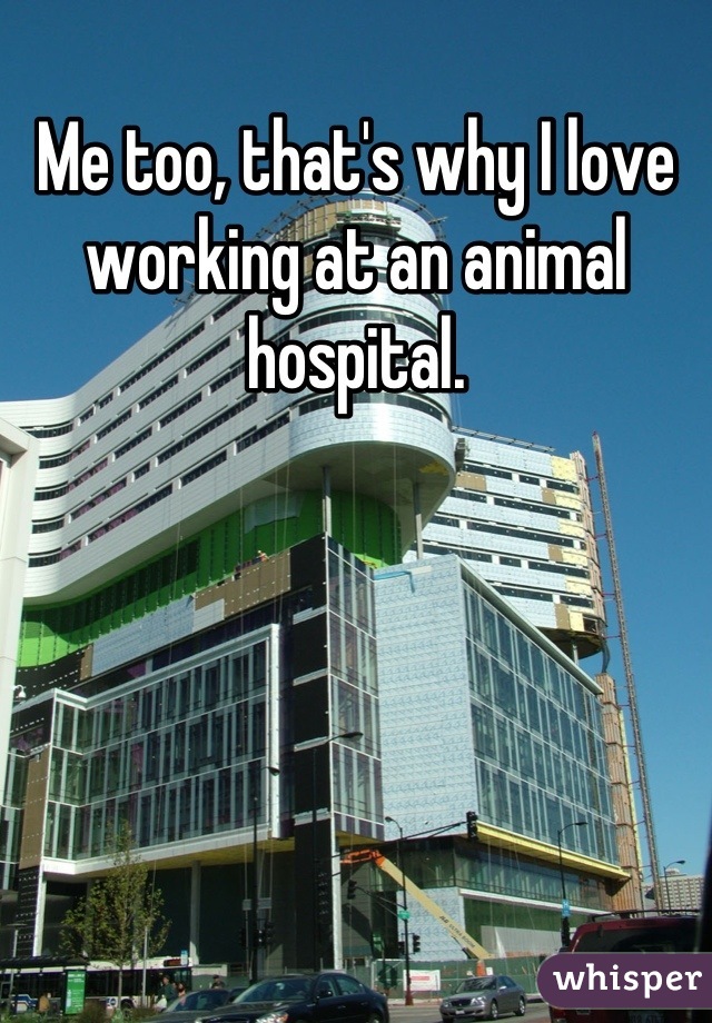 Me too, that's why I love working at an animal hospital.