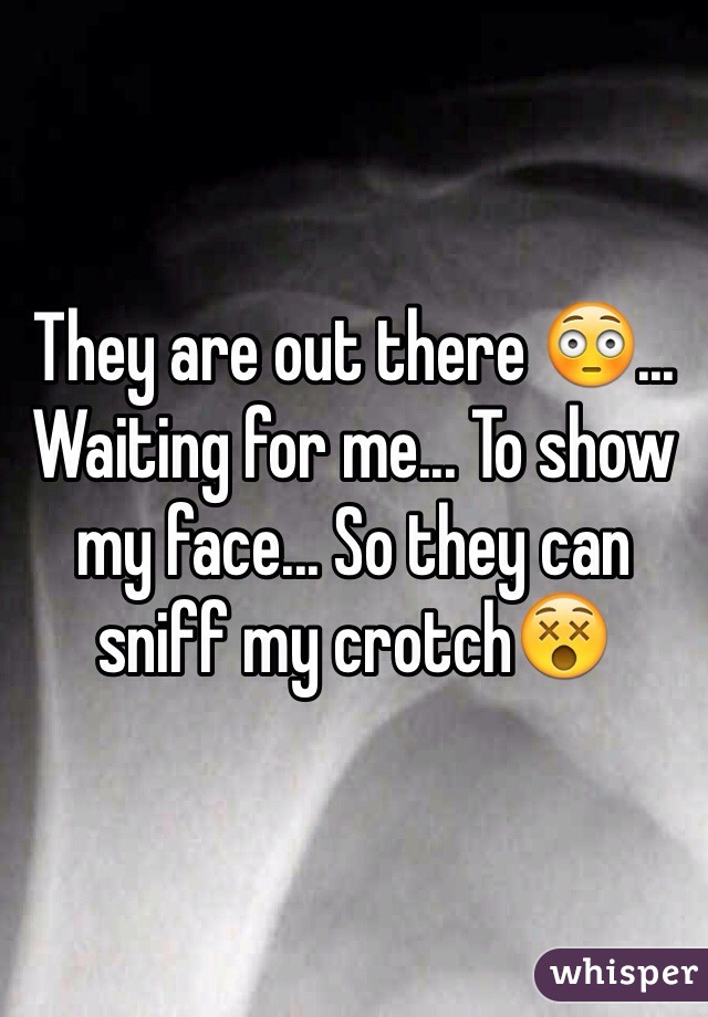 They are out there 😳... Waiting for me... To show my face... So they can sniff my crotch😵