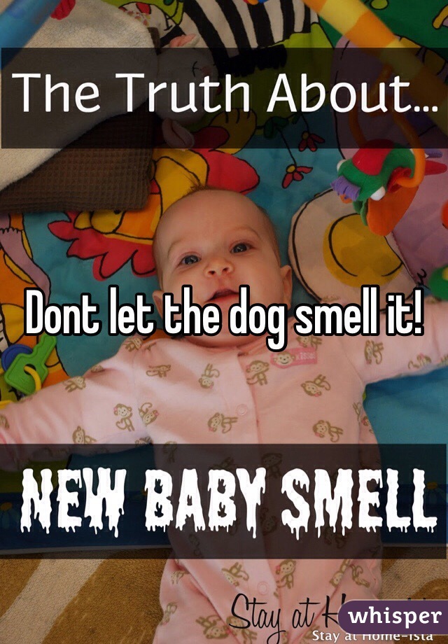 Dont let the dog smell it!