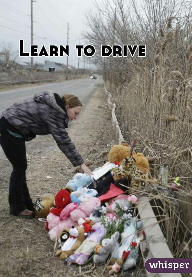 Learn to drive 