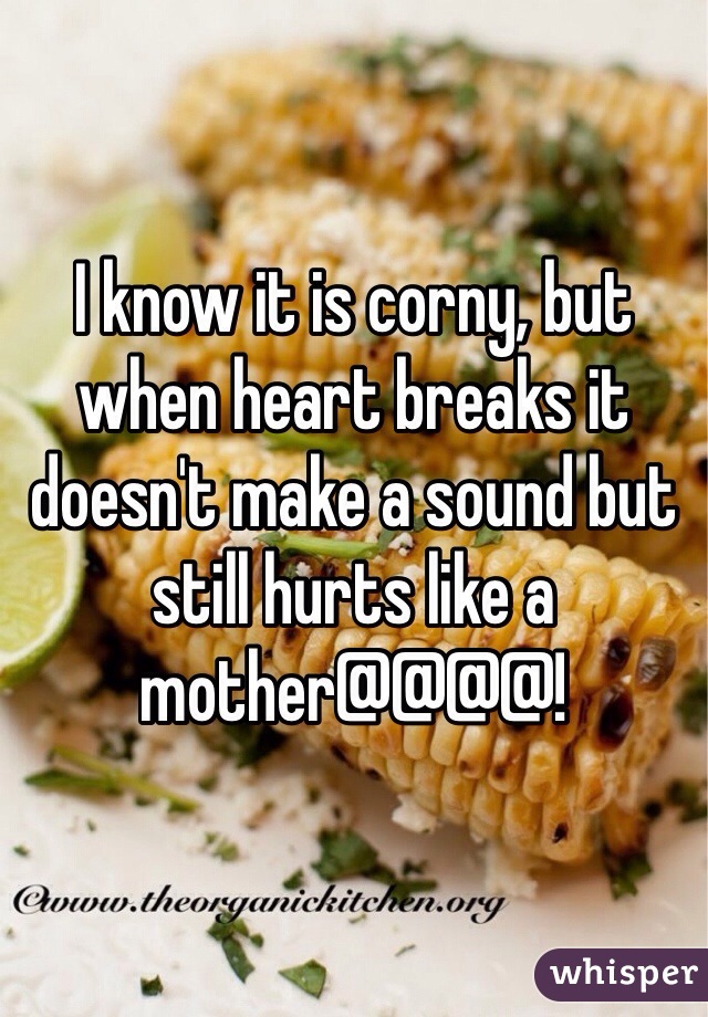 I know it is corny, but when heart breaks it doesn't make a sound but still hurts like a mother@@@@! 