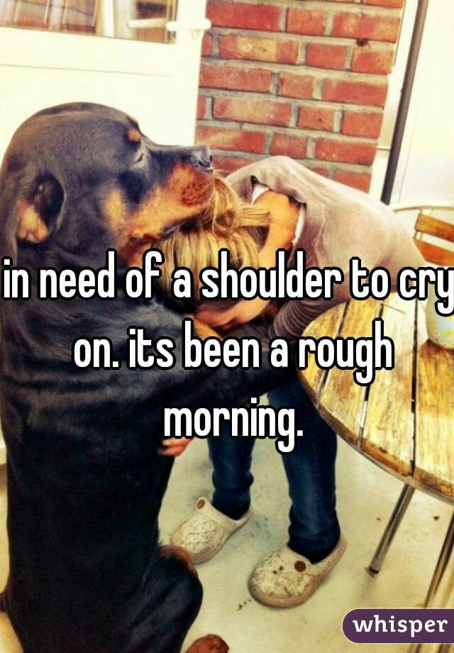 in need of a shoulder to cry on. its been a rough morning.