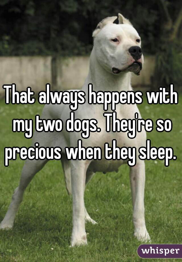 That always happens with my two dogs. They're so precious when they sleep. 