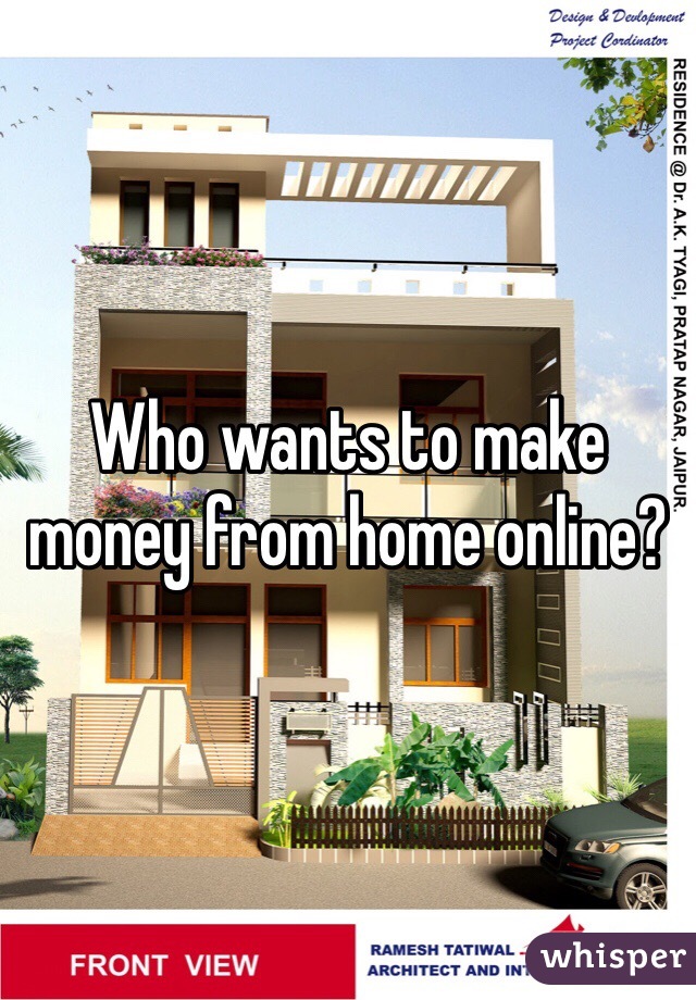Who wants to make money from home online?