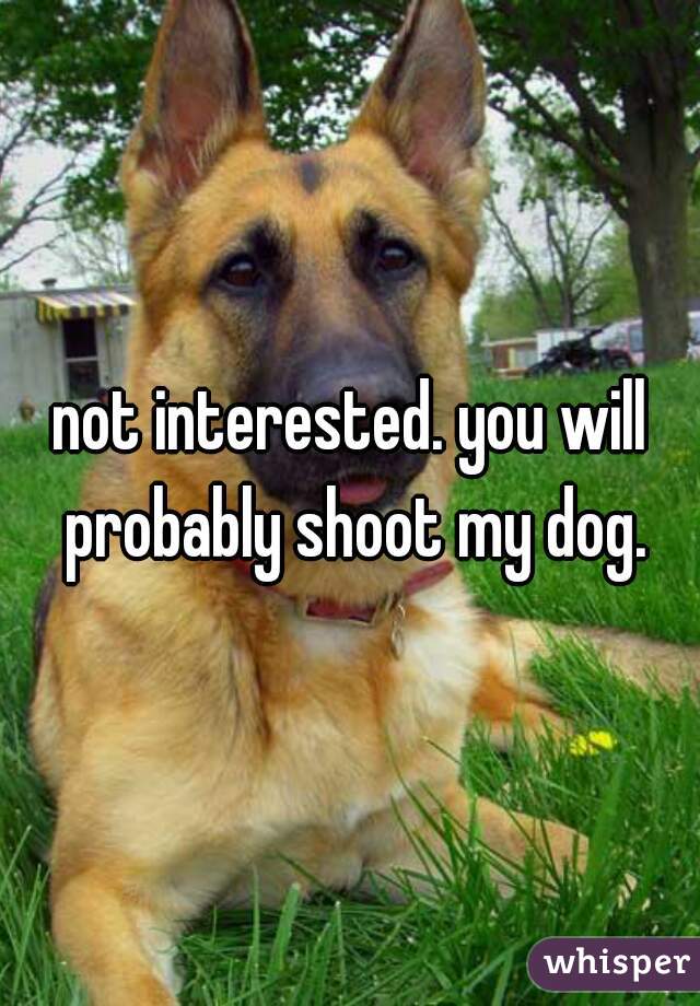 not interested. you will probably shoot my dog.