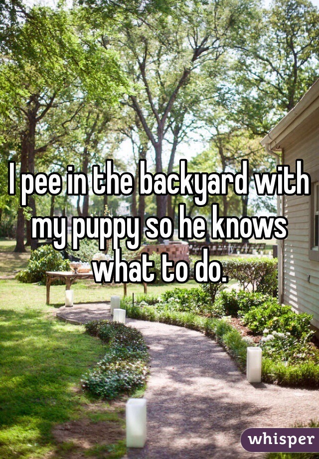 I pee in the backyard with my puppy so he knows what to do. 