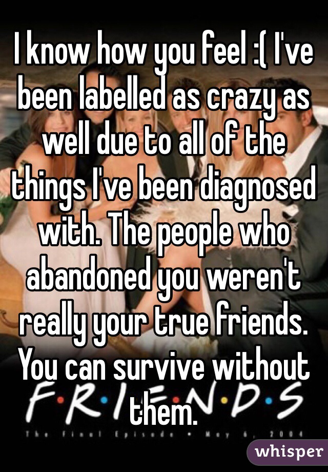 I know how you feel :( I've been labelled as crazy as well due to all of the things I've been diagnosed with. The people who abandoned you weren't really your true friends. You can survive without them.