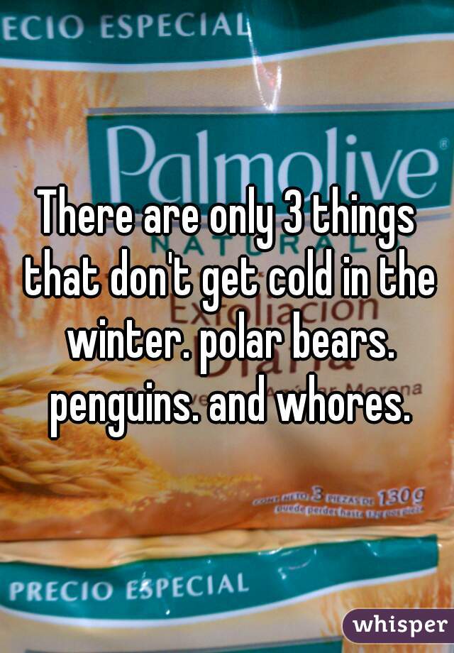 There are only 3 things that don't get cold in the winter. polar bears. penguins. and whores.