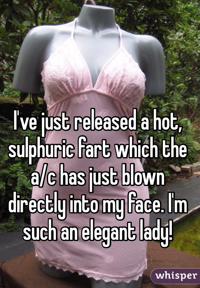 I've just released a hot, sulphuric fart which the a/c has just blown directly into my face. I'm such an elegant lady!