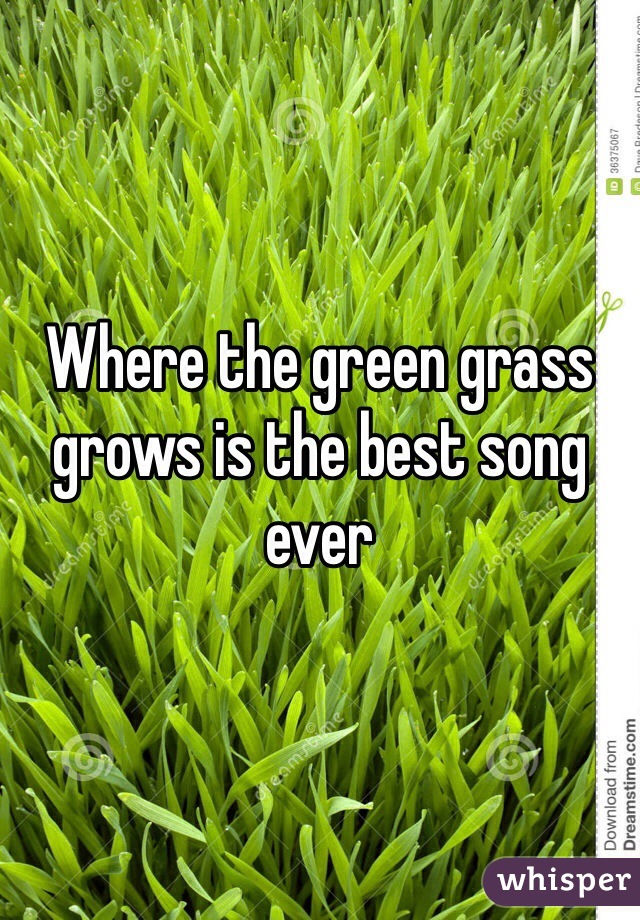 Where the green grass grows is the best song ever