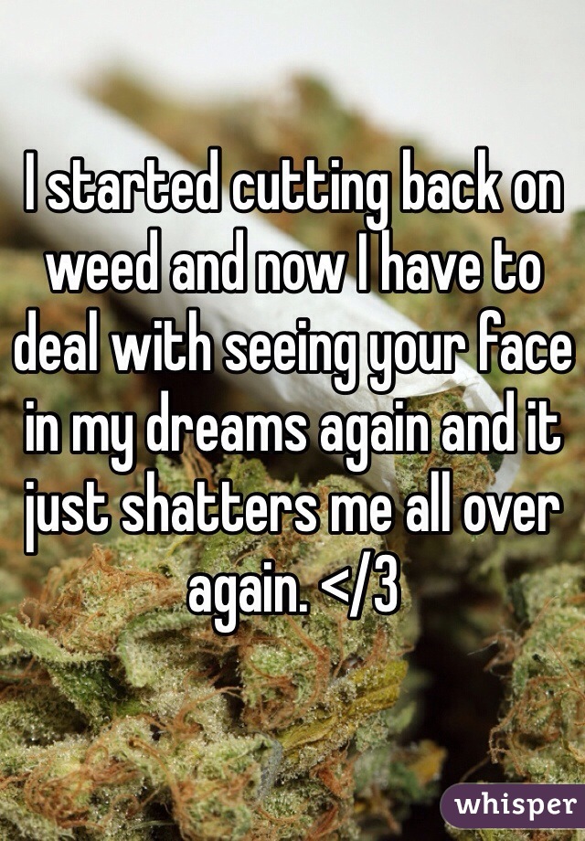 I started cutting back on weed and now I have to deal with seeing your face in my dreams again and it just shatters me all over again. </3 