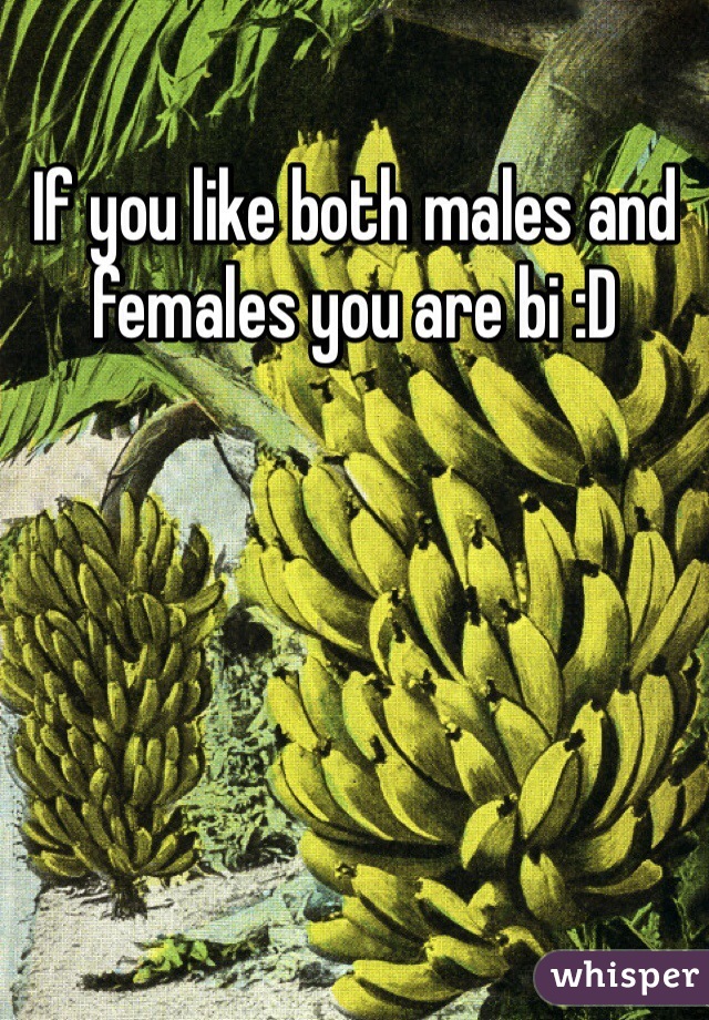 If you like both males and females you are bi :D