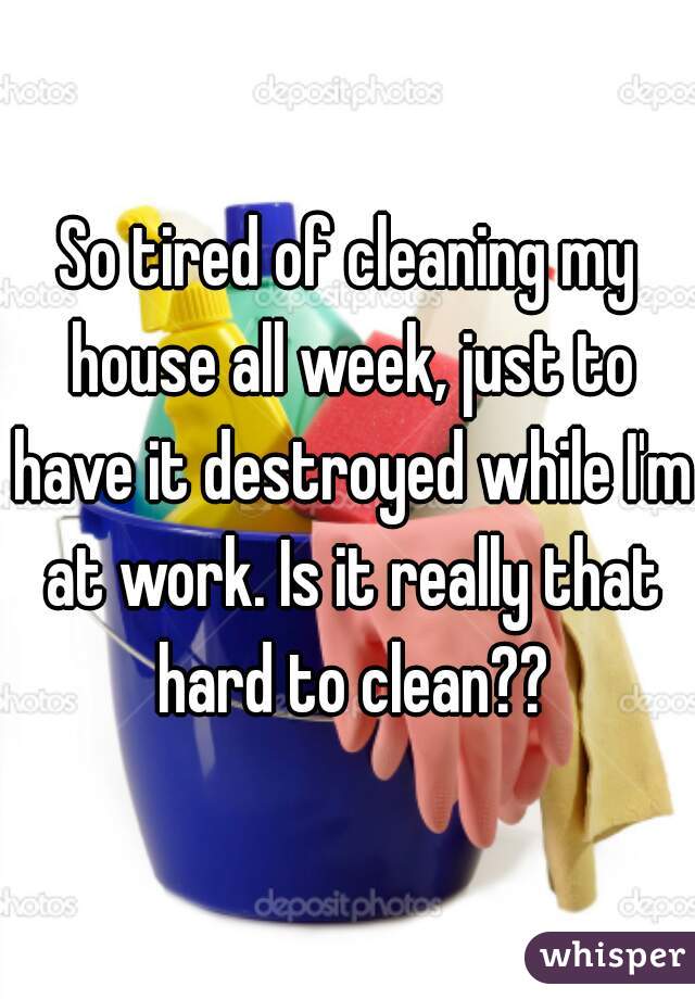 So tired of cleaning my house all week, just to have it destroyed while I'm at work. Is it really that hard to clean??