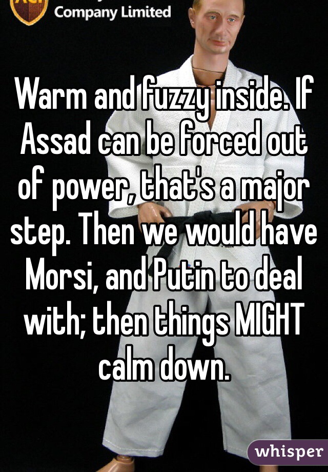 Warm and fuzzy inside. If Assad can be forced out of power, that's a major step. Then we would have Morsi, and Putin to deal with; then things MIGHT calm down.