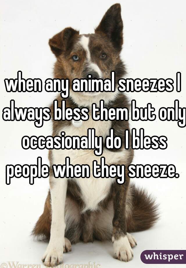when any animal sneezes I always bless them but only occasionally do I bless people when they sneeze. 