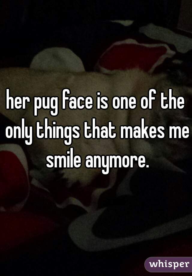 her pug face is one of the only things that makes me smile anymore.