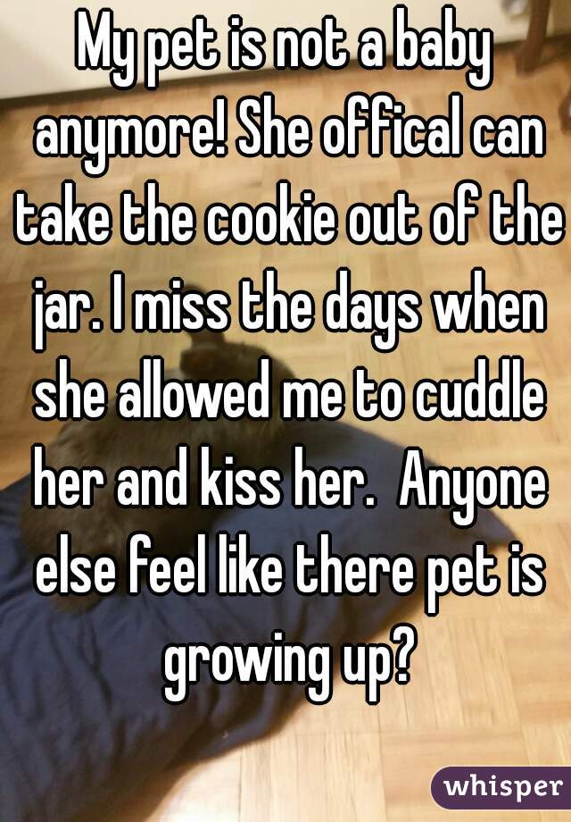 My pet is not a baby anymore! She offical can take the cookie out of the jar. I miss the days when she allowed me to cuddle her and kiss her.  Anyone else feel like there pet is growing up?