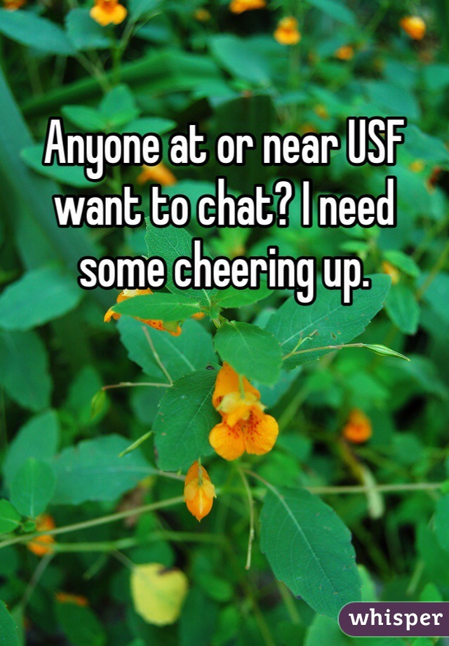 Anyone at or near USF want to chat? I need some cheering up. 