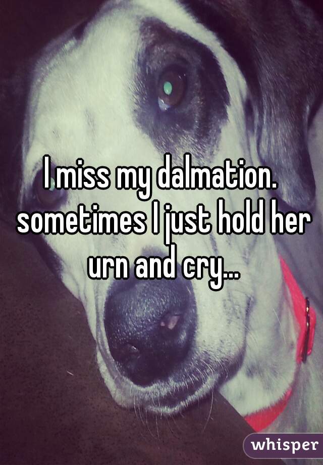 I miss my dalmation. sometimes I just hold her urn and cry...