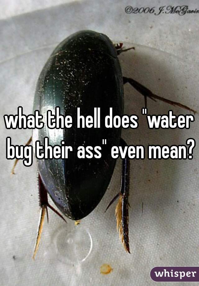 what the hell does "water bug their ass" even mean?