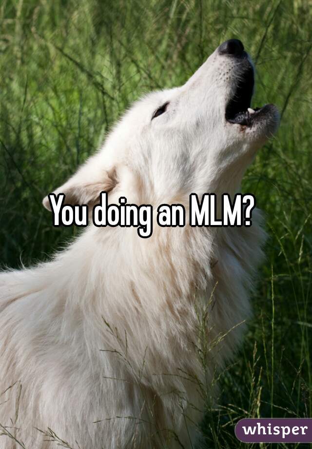 You doing an MLM? 