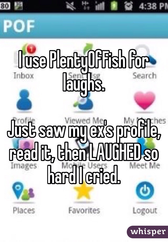 I use PlentyOfFish for laughs.

Just saw my ex's profile, read it, then LAUGHED so hard I cried.