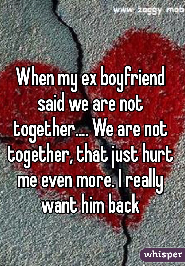 When my ex boyfriend said we are not together.... We are not together, that just hurt me even more. I really want him back 