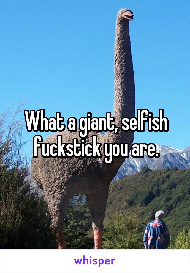 What a giant, selfish fuckstick you are.