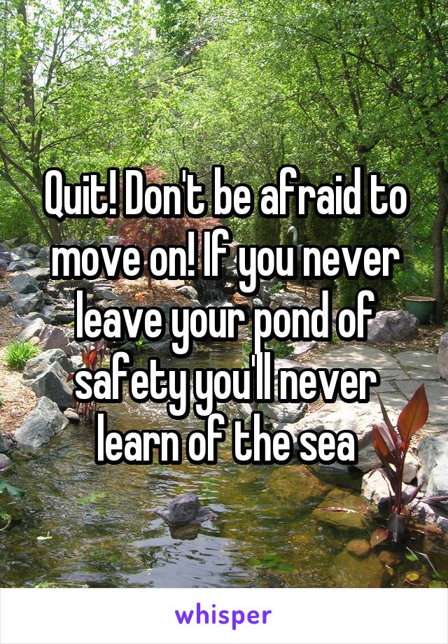 Quit! Don't be afraid to move on! If you never leave your pond of safety you'll never learn of the sea