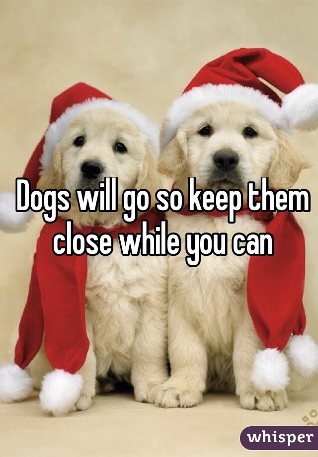Dogs will go so keep them close while you can
